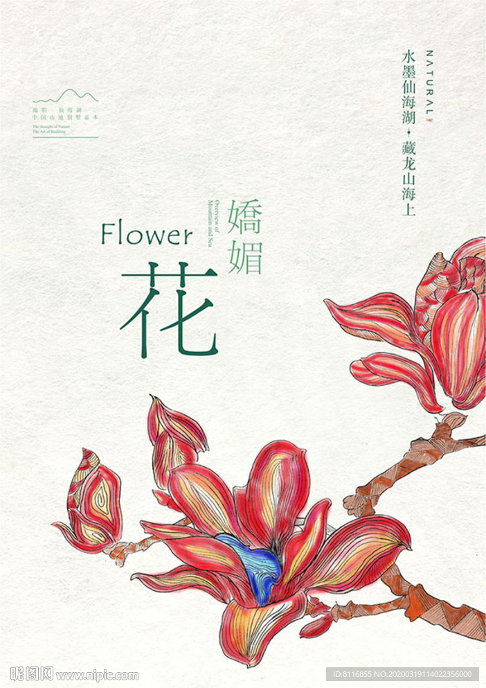 海棠花手绘艺术插画
