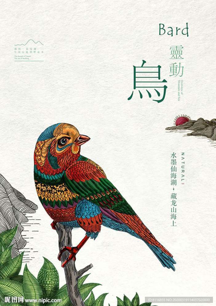 鸟手绘艺术插画