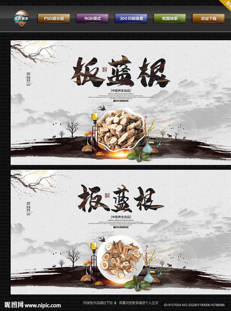 板蓝根