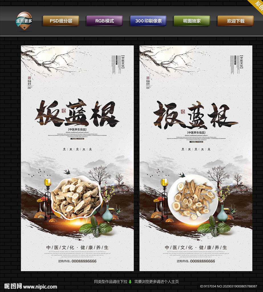 板蓝根