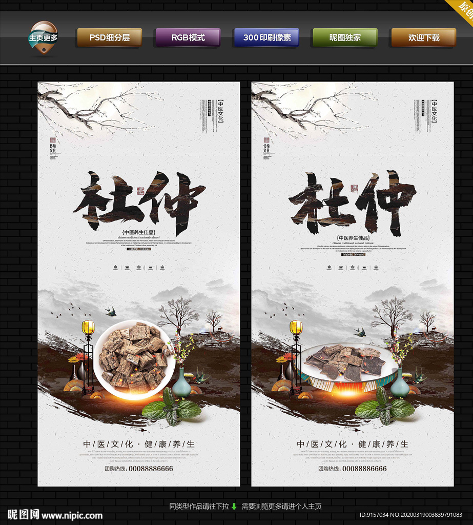 杜仲