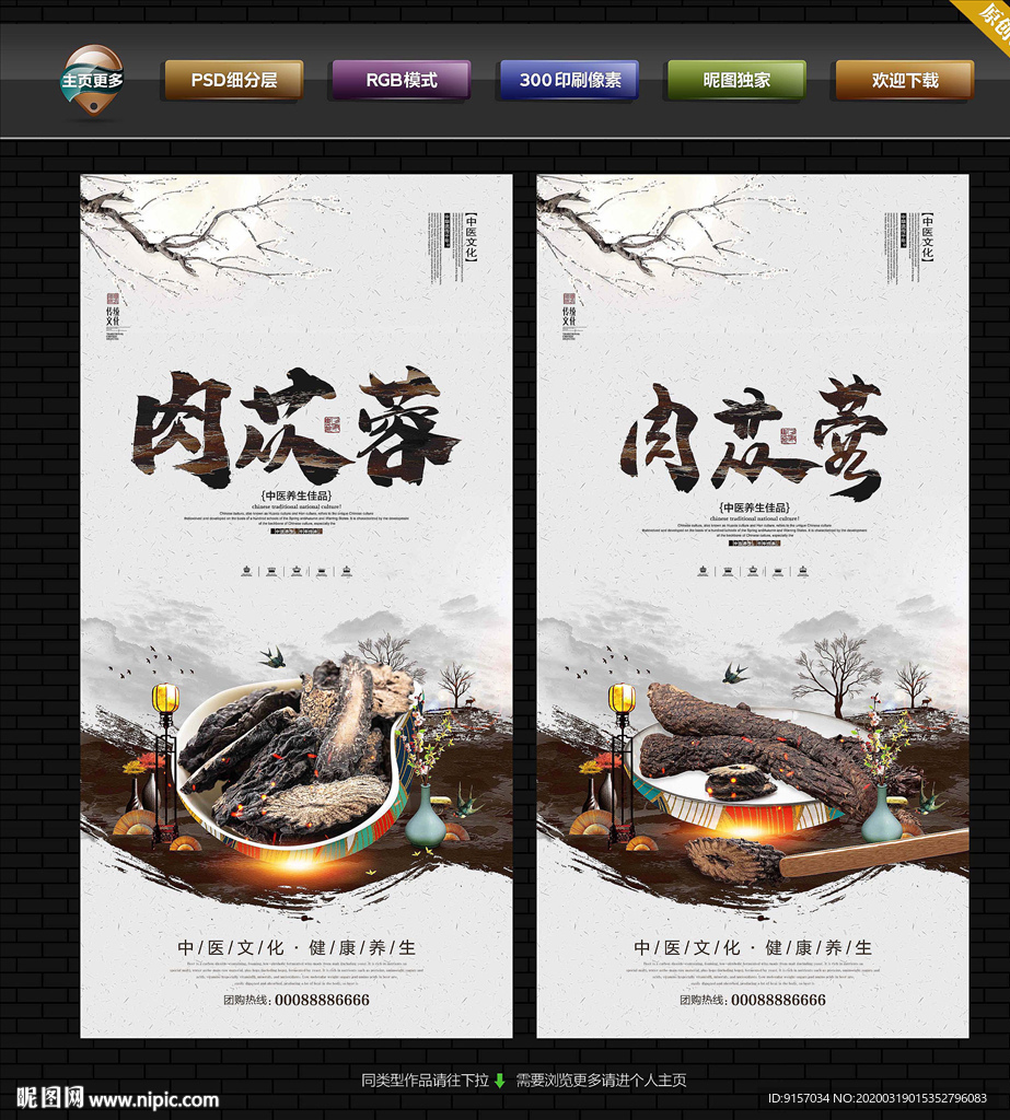 肉苁蓉