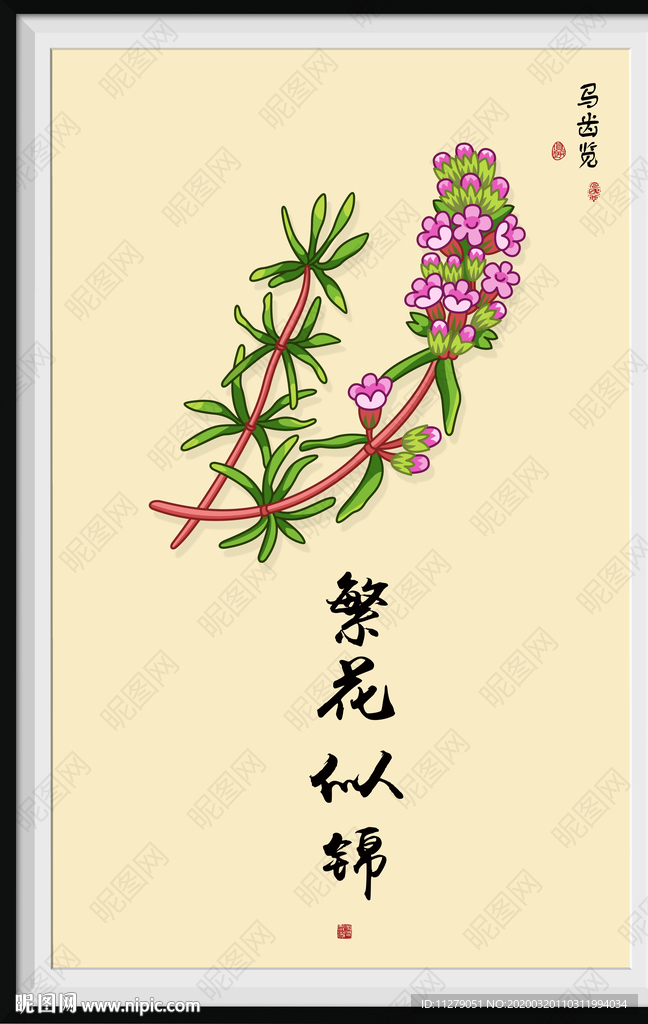 马齿览