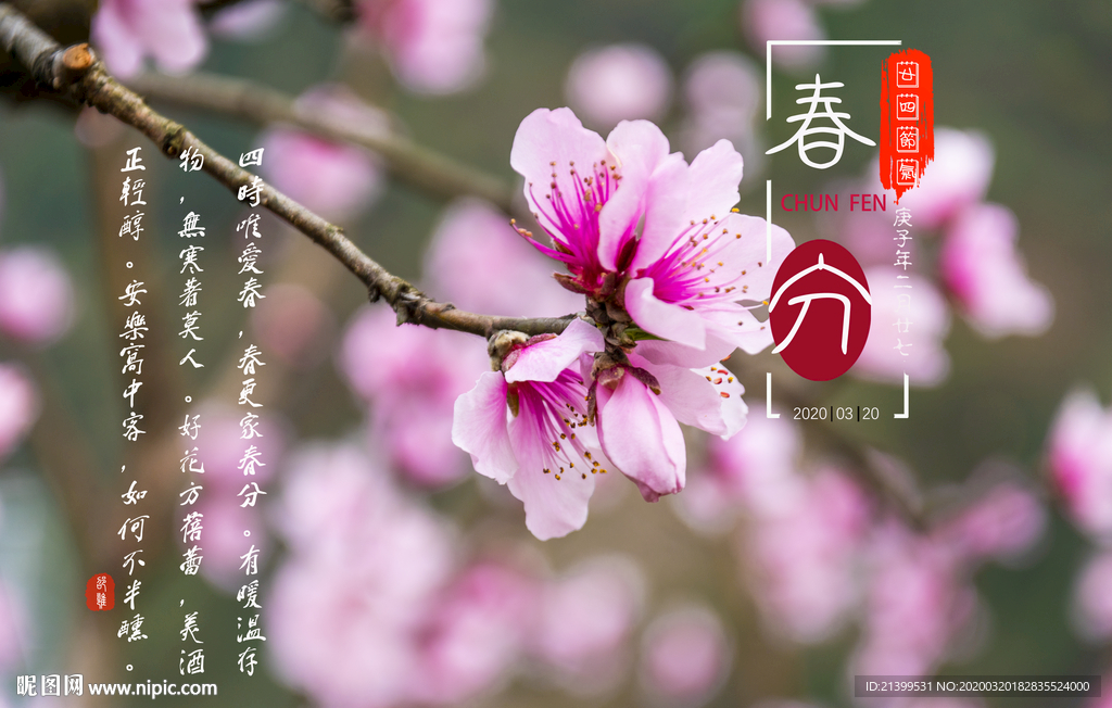 春分展板