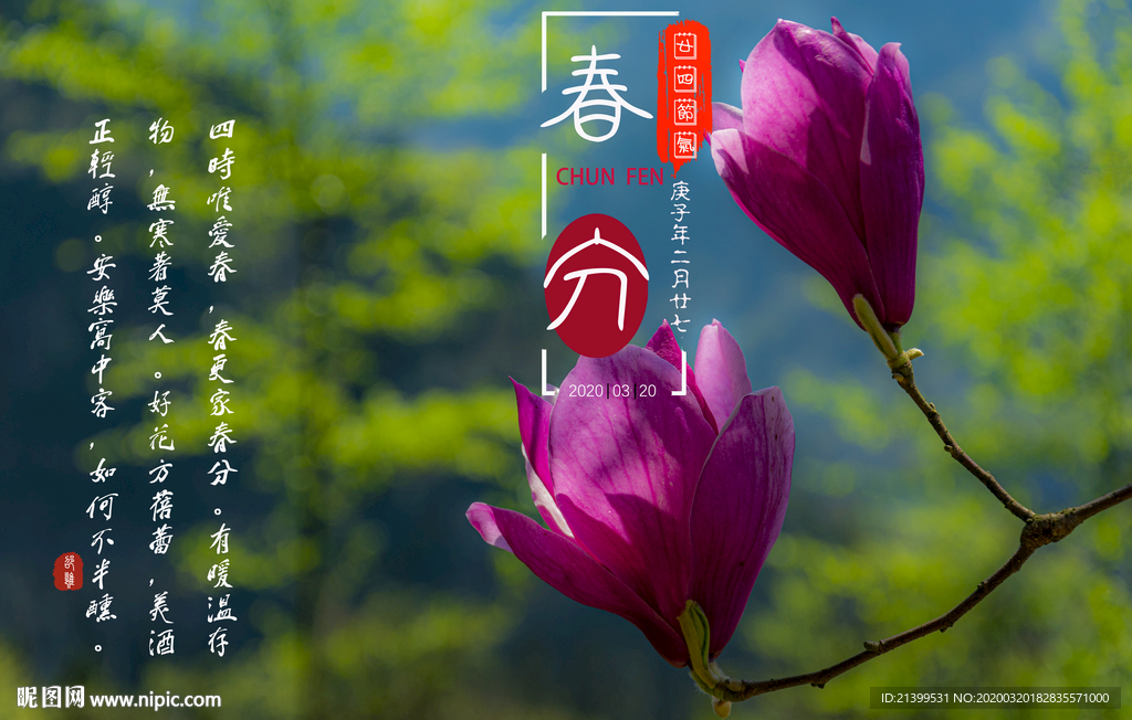 春分封面