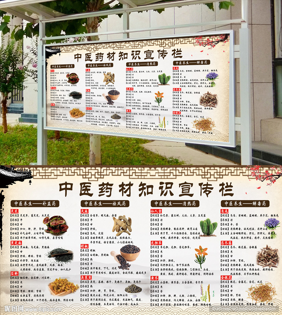 中医养生宣传栏