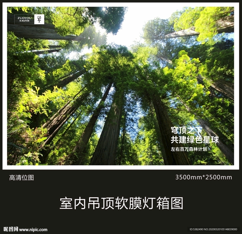 树林背景