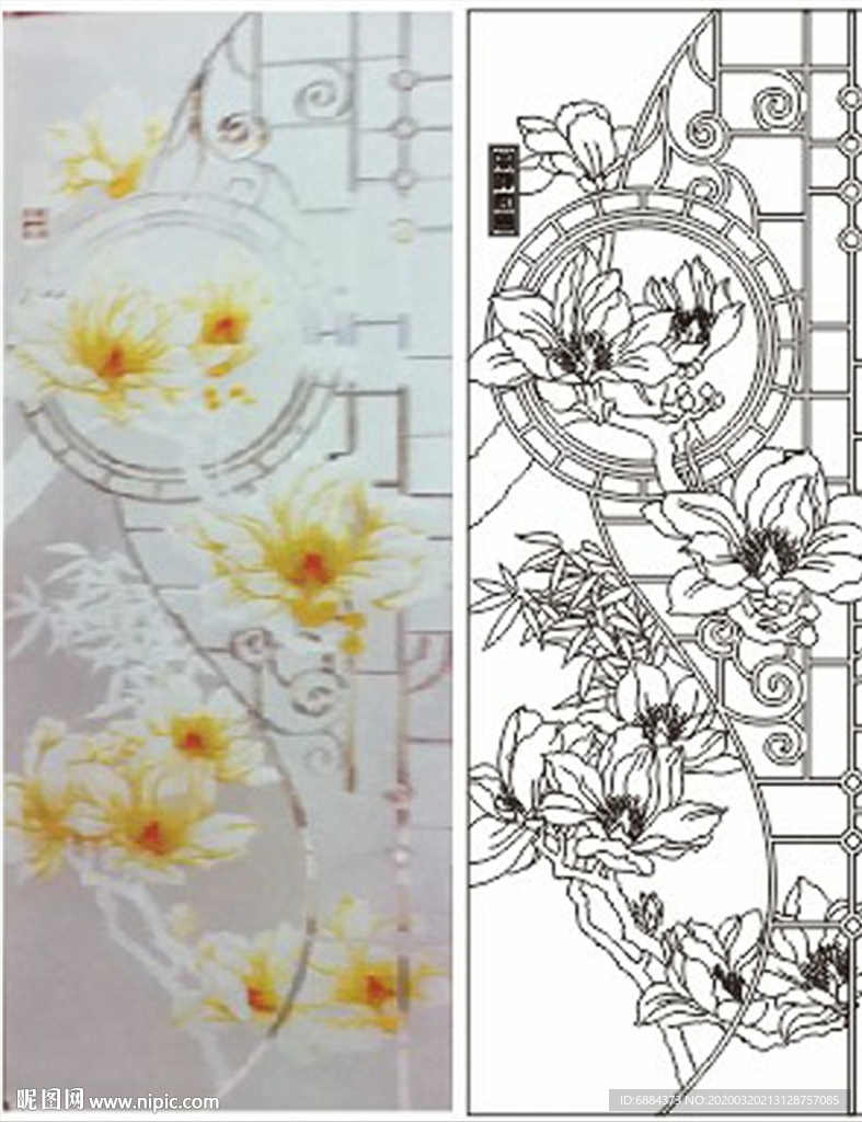 玉兰花