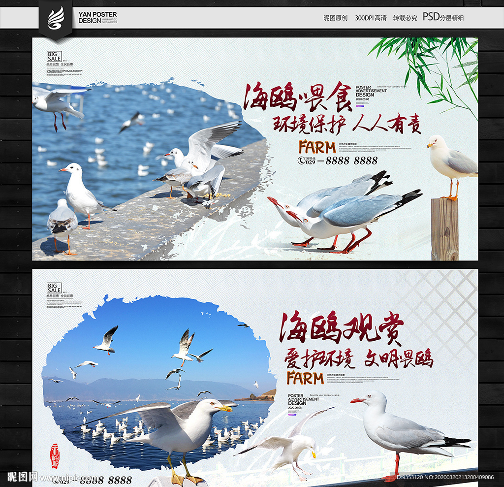 海鸥