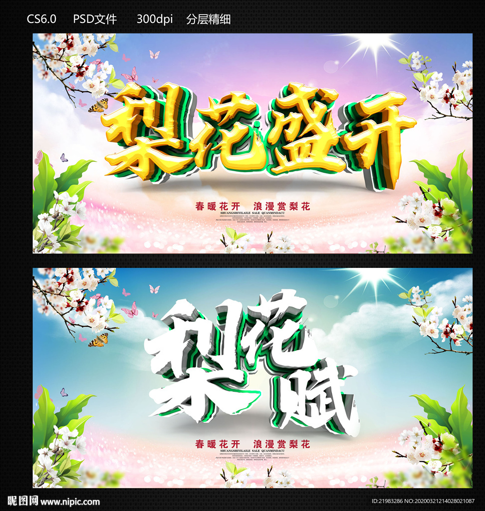 梨花盛开
