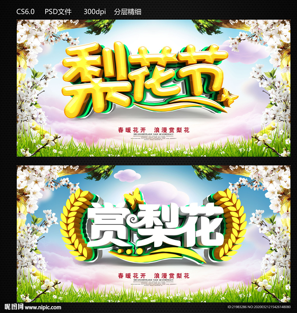 梨花节