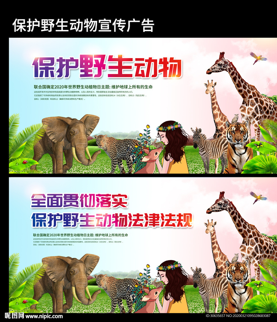 保护野生动物宣传图片素材