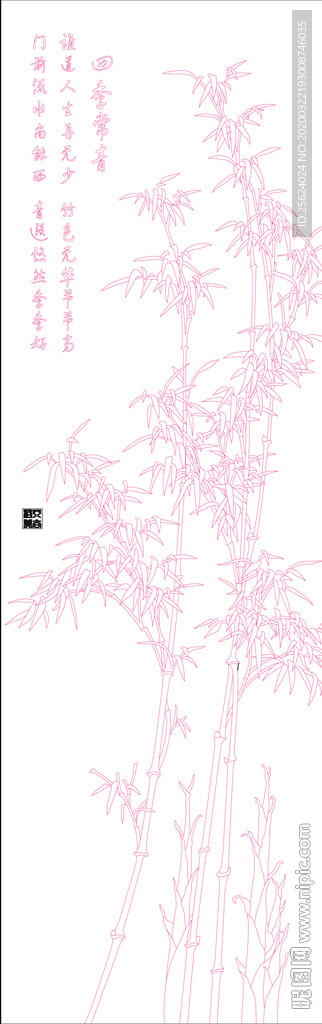 竹子 四季常青