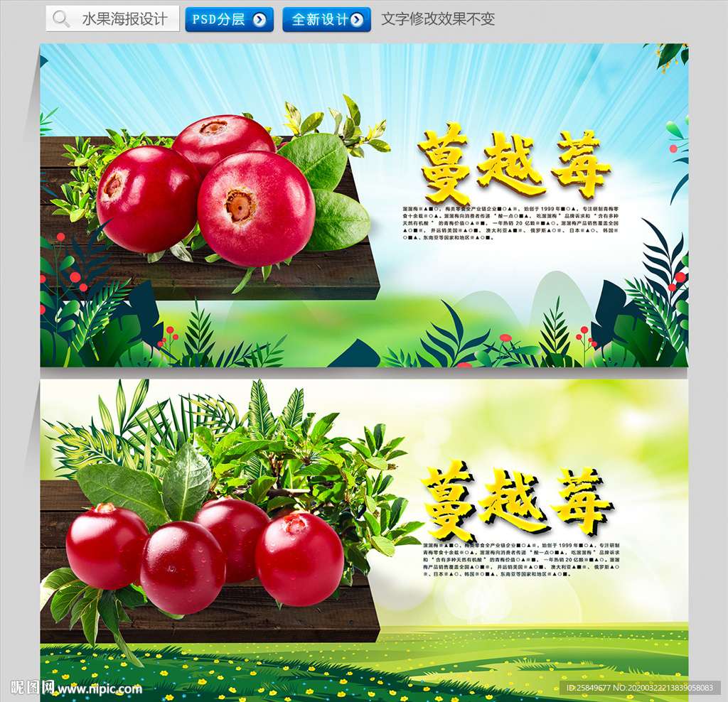 蔓越莓