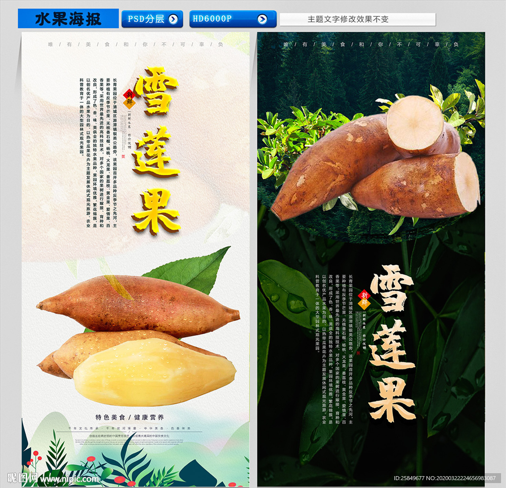 雪莲果