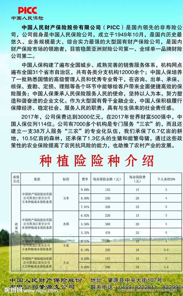 保险
