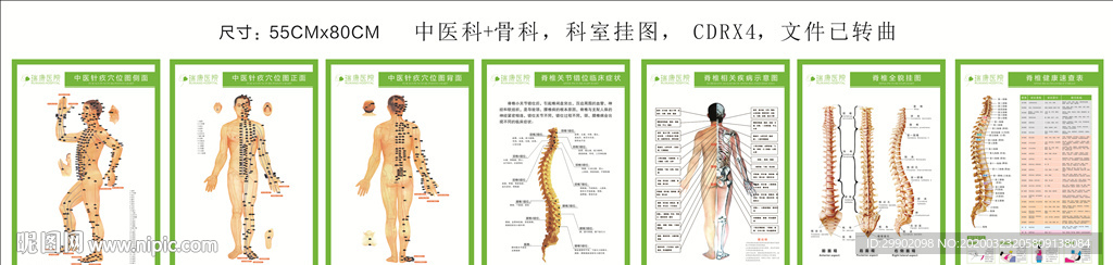 中医科骨科科室挂图