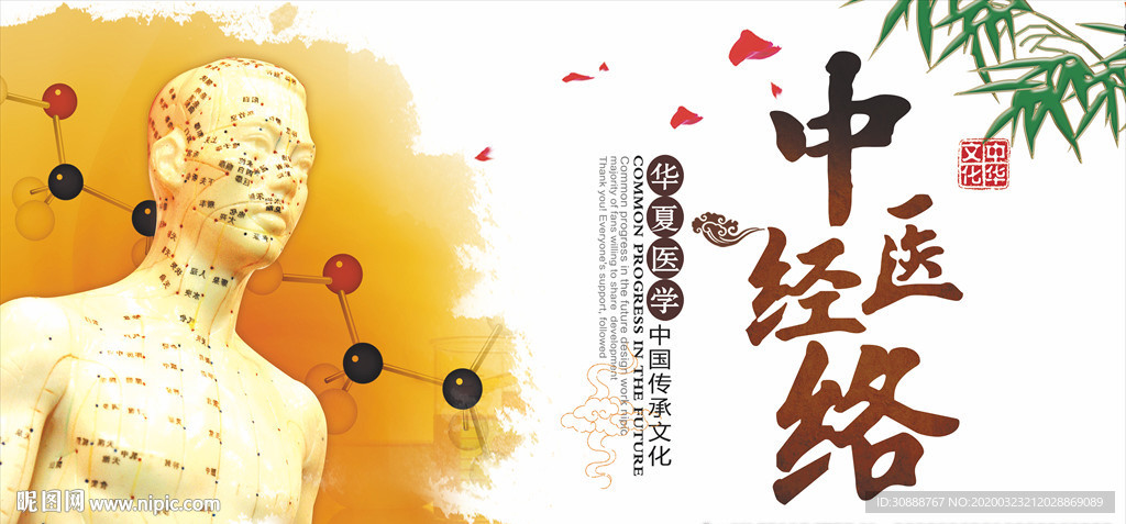 中医经络