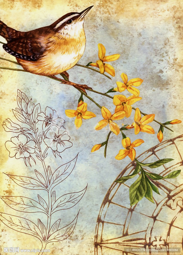 花鸟装饰无框画