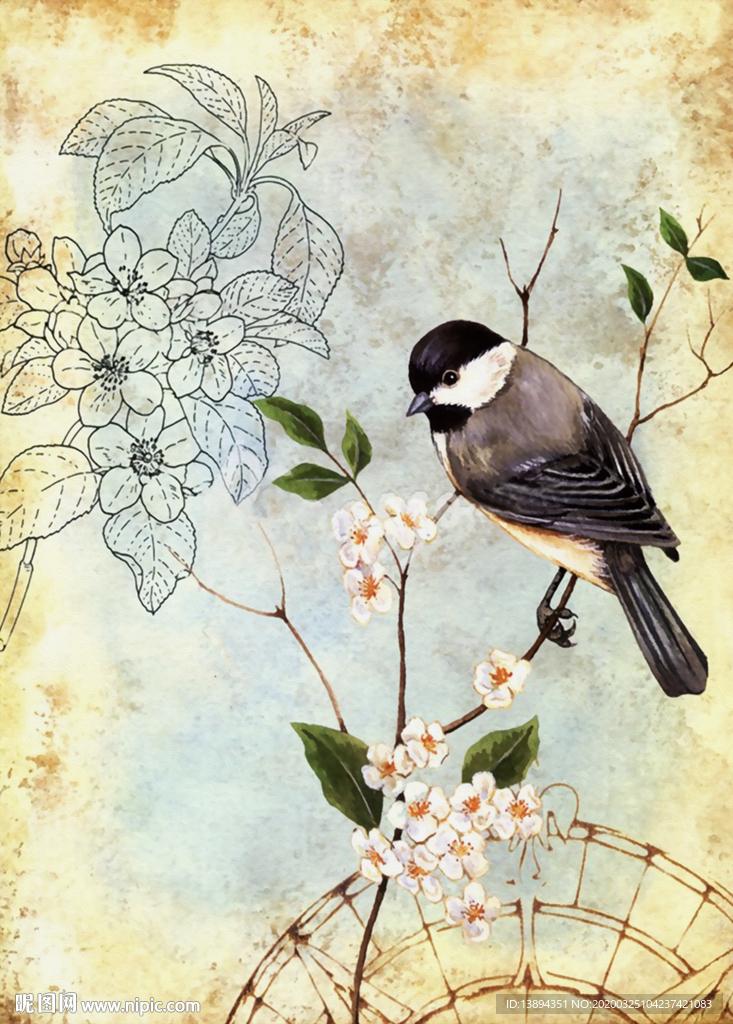 花鸟装饰无框画