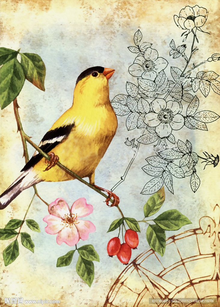 花鸟装饰无框画