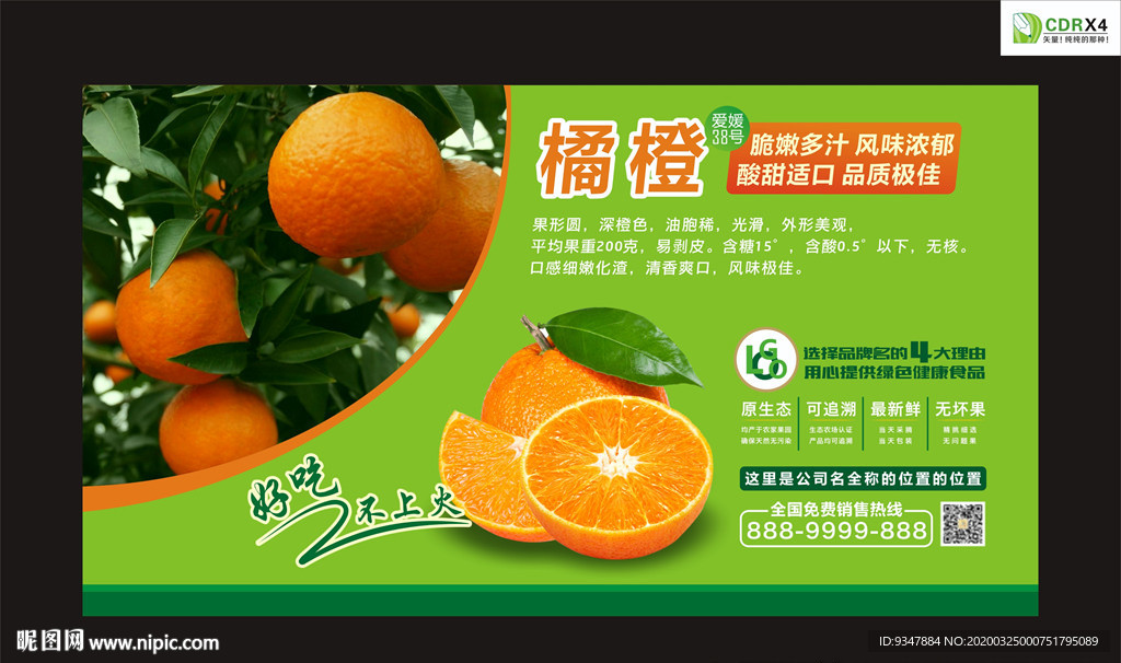 橘橙爱媛38