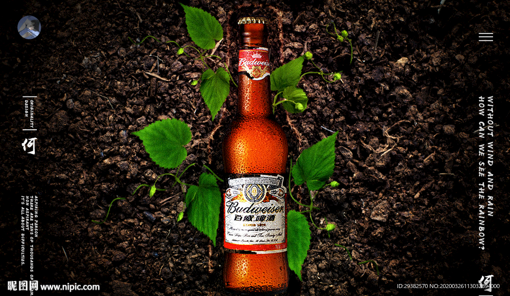 土壤里的啤酒