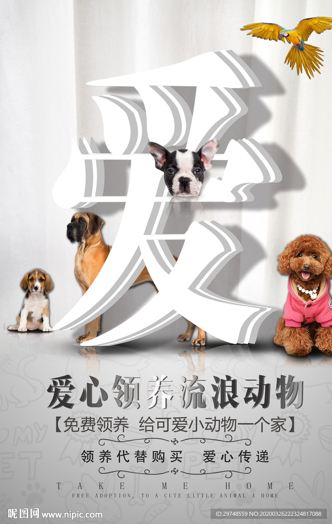 爱心领养动物