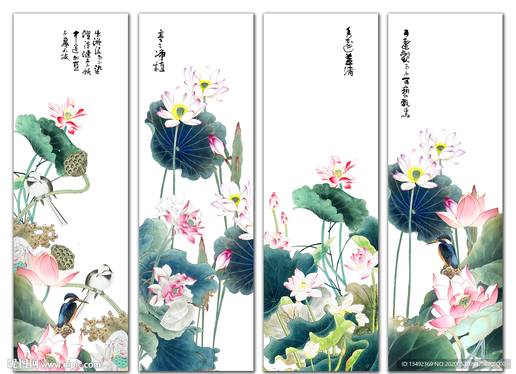 国画荷花