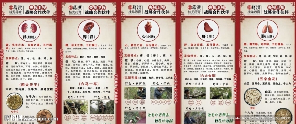 葛洪展架