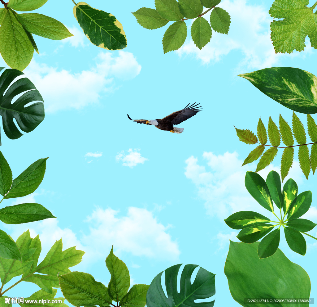 蓝天白云绿叶吊顶天顶壁画