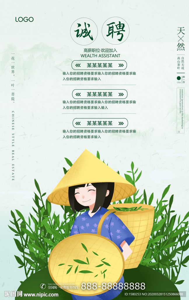 茶招聘