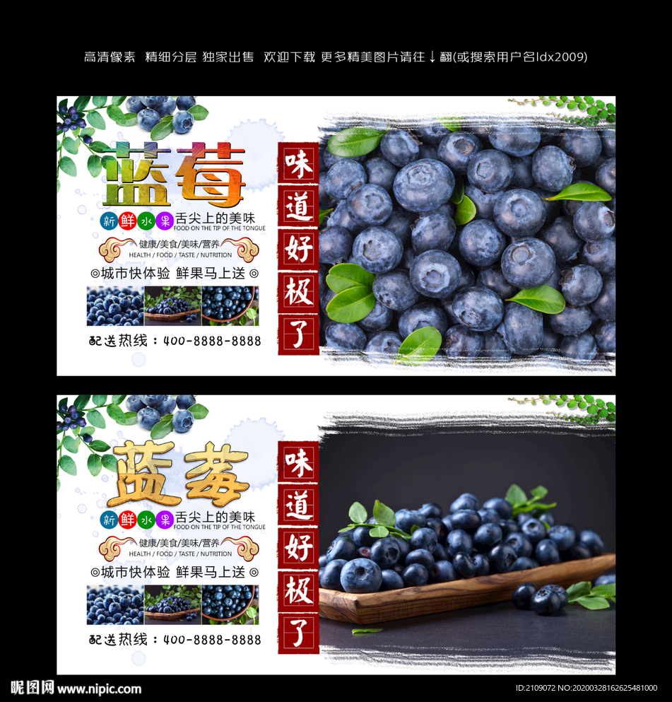 蓝莓