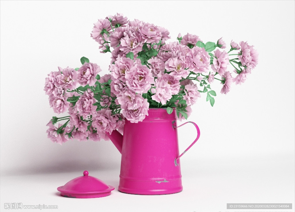 美丽的粉色玫瑰