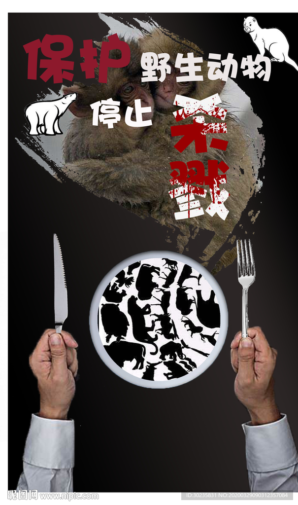禁食野生动物 保护野生动物