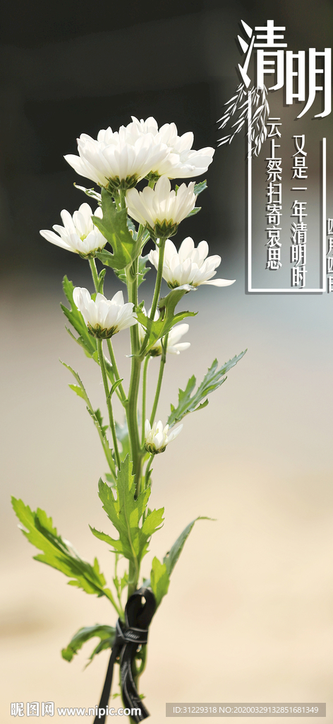清明节海报