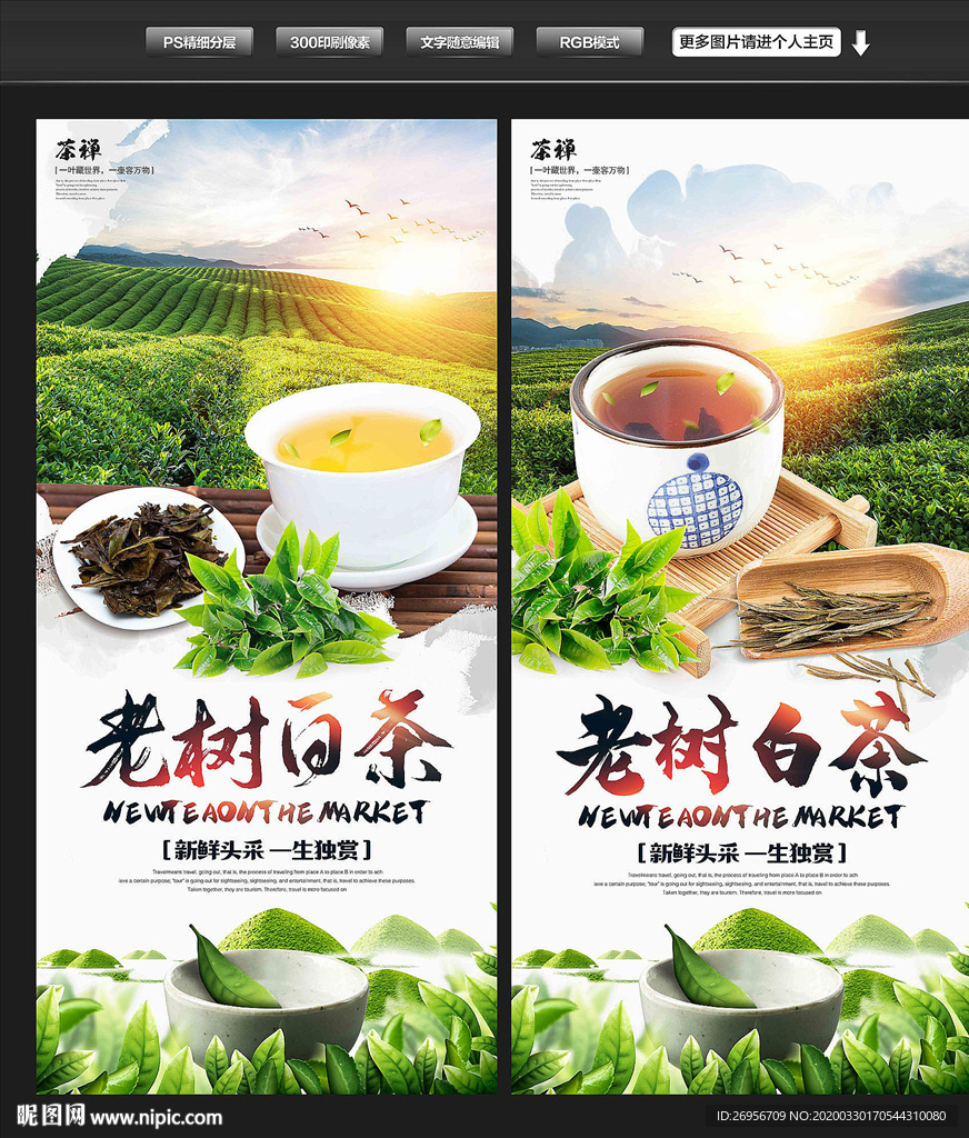 白茶