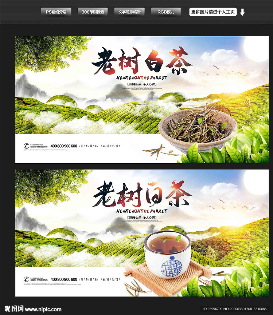 白茶