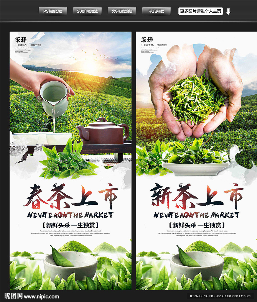春茶上市