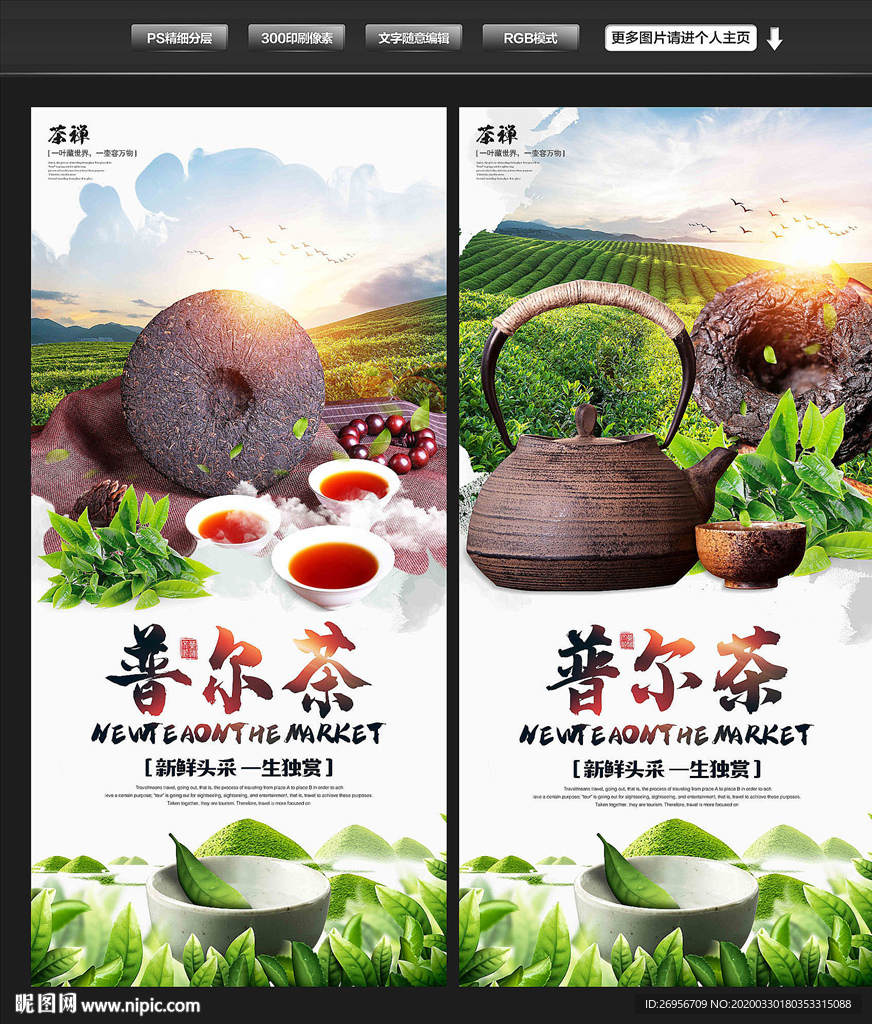 普洱茶