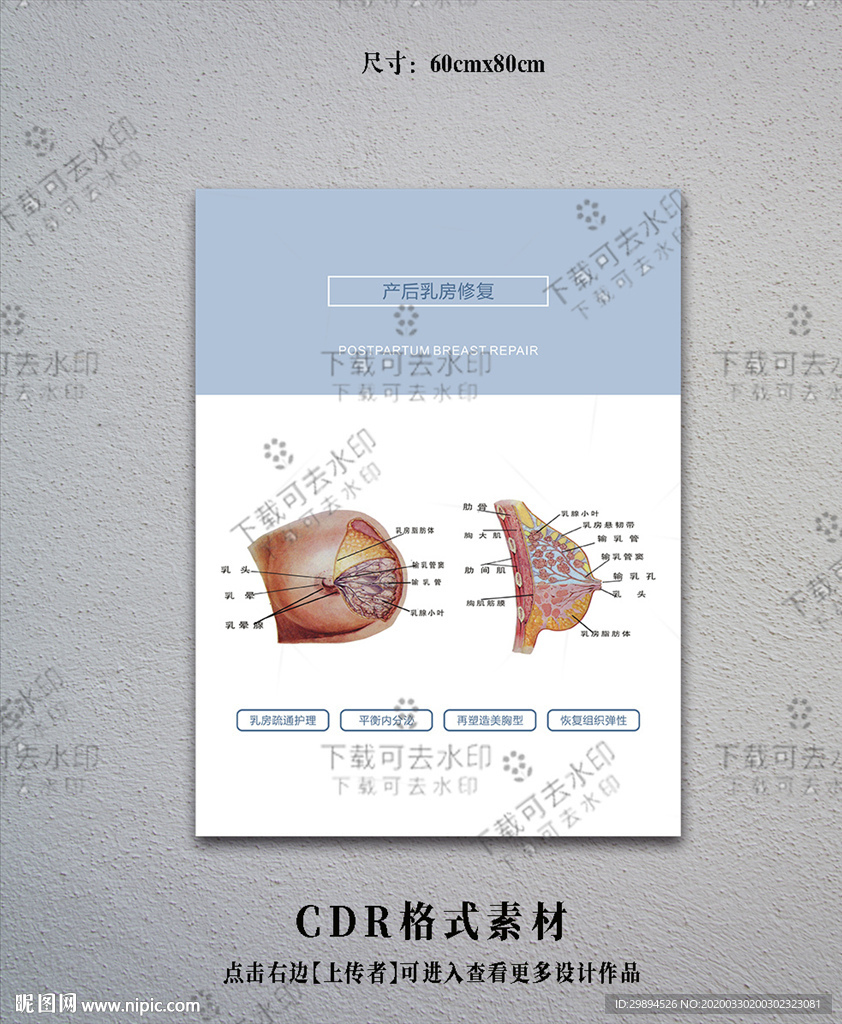 产后修复海报设计