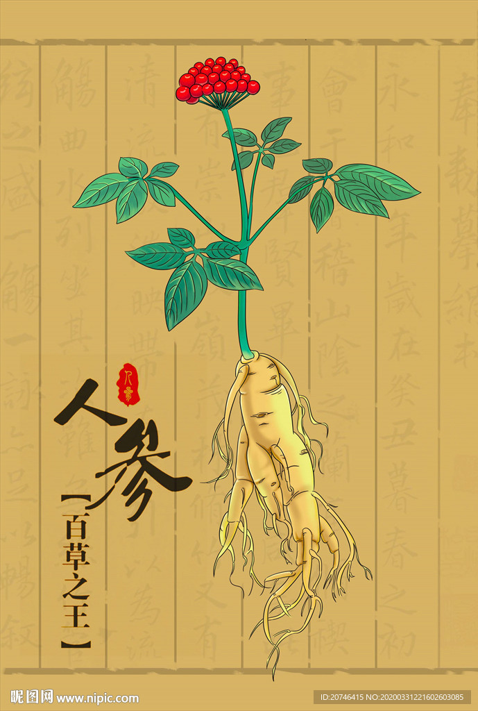 药草人参
