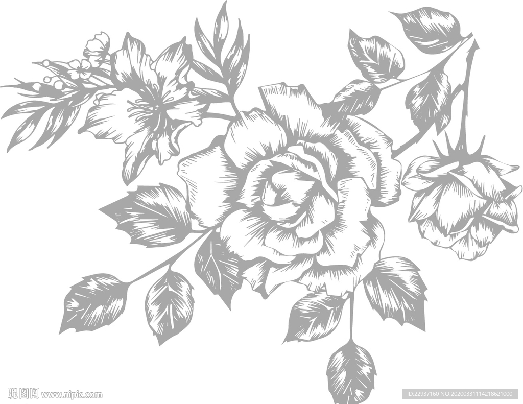 矢量玫瑰花