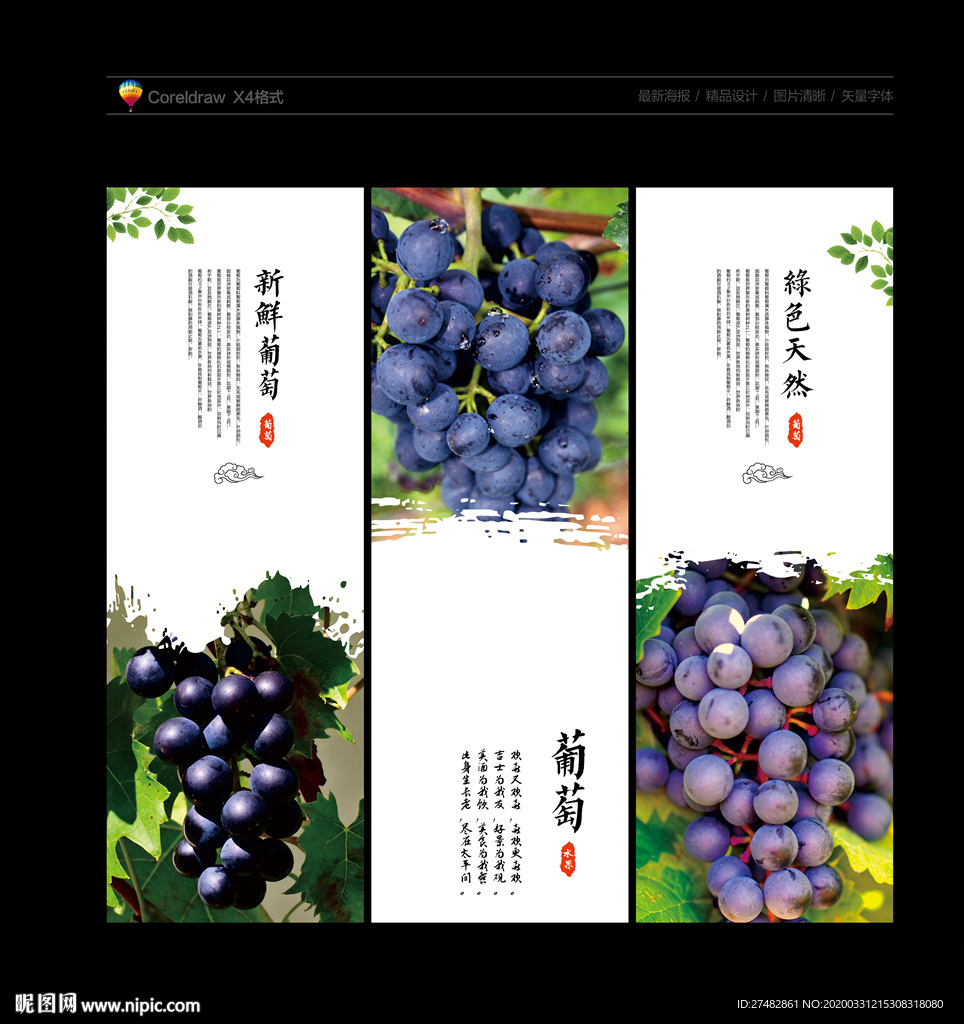 葡萄 葡萄海报 提子 葡萄采摘