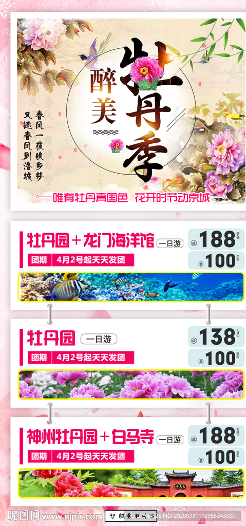 醉美牡丹季