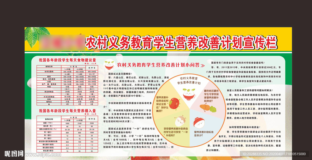 农村营养改善计划宣传