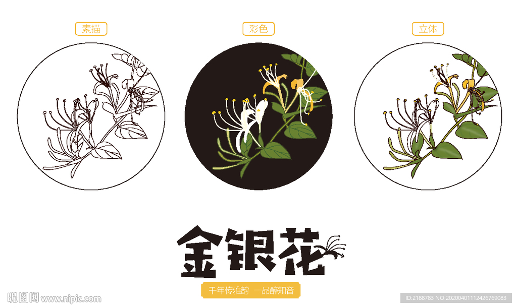 金银花