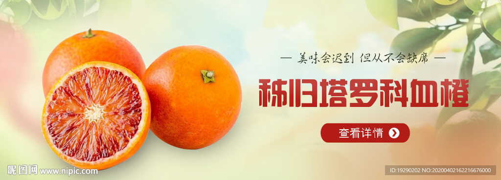 血橙 banner