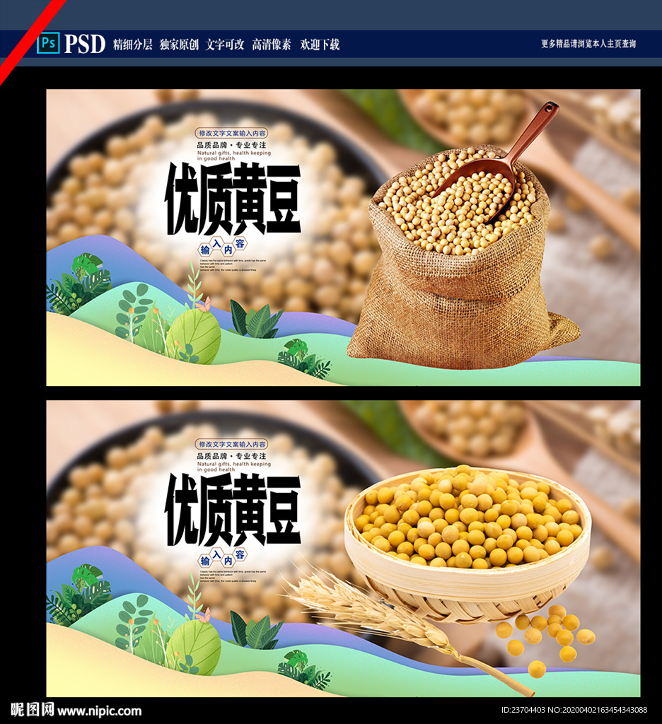 黄豆