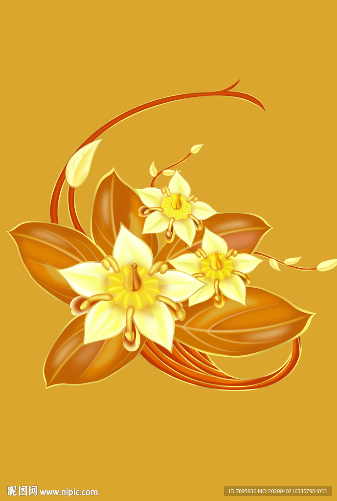 手绘枣花